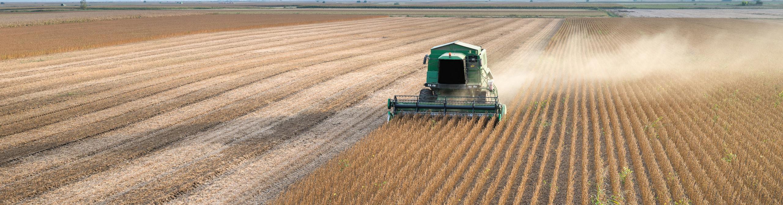 Green tractor in a wheat field