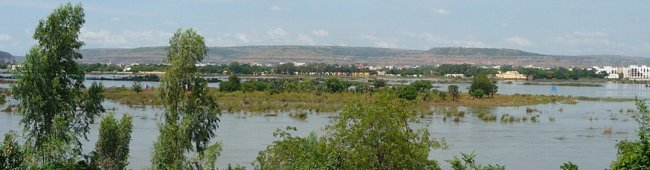 A marsh in Niger