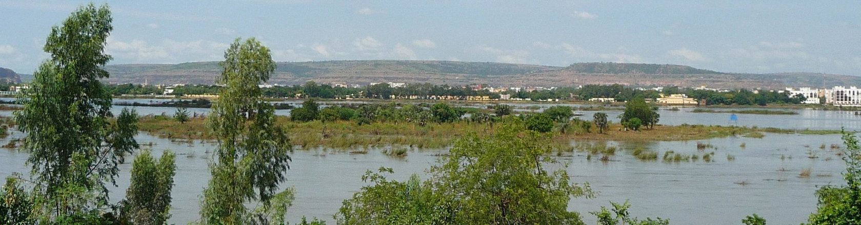 A marsh in Niger