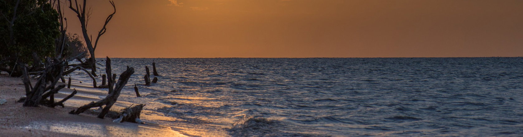 A beach in Suriname