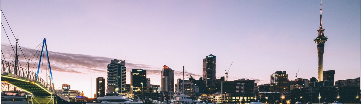 New Zealand skyline