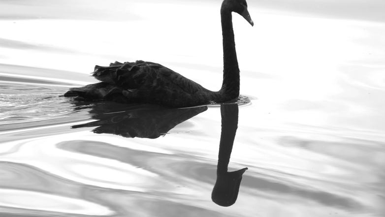 The Age of Uncertainty: How Can You Move When Others Freeze?