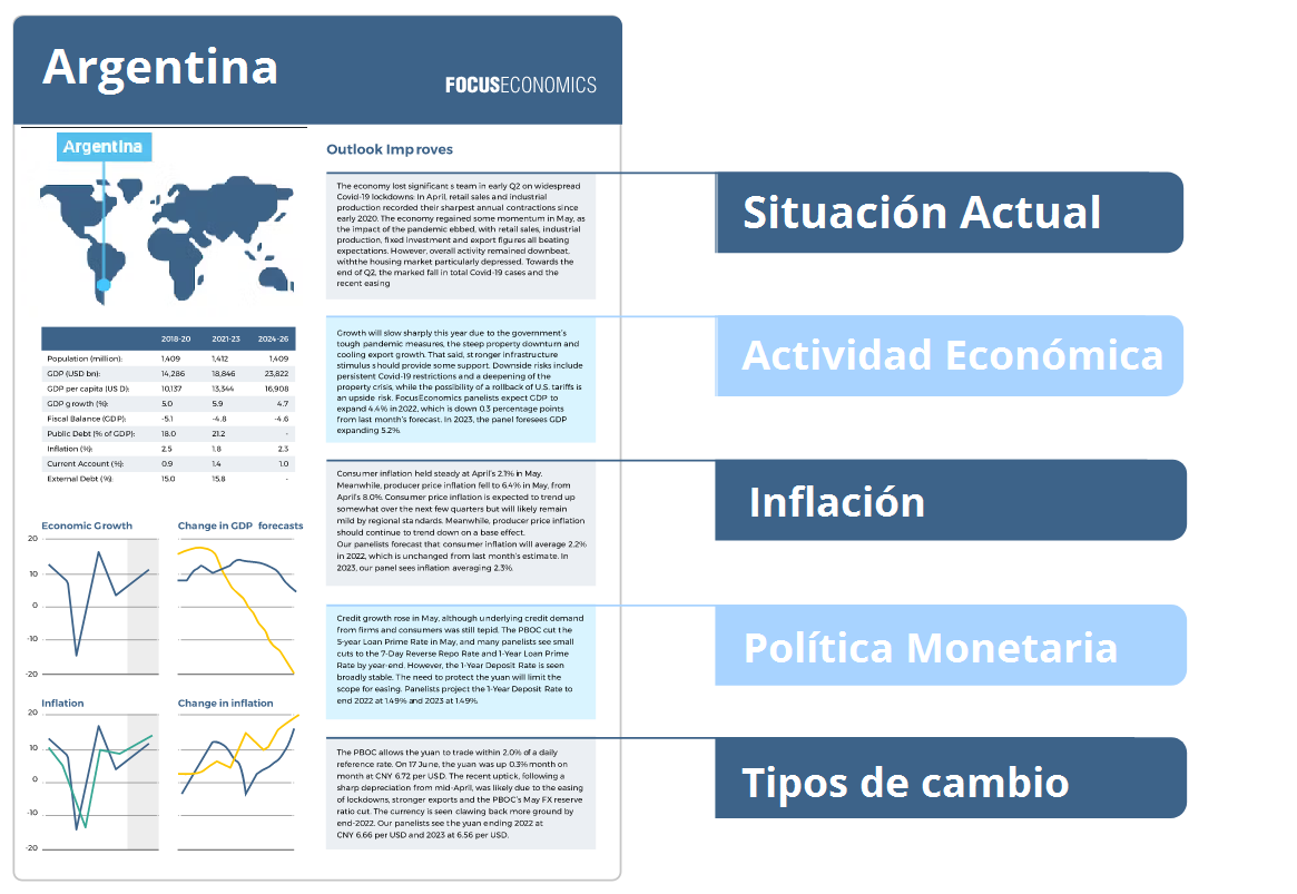 Argentina report covert