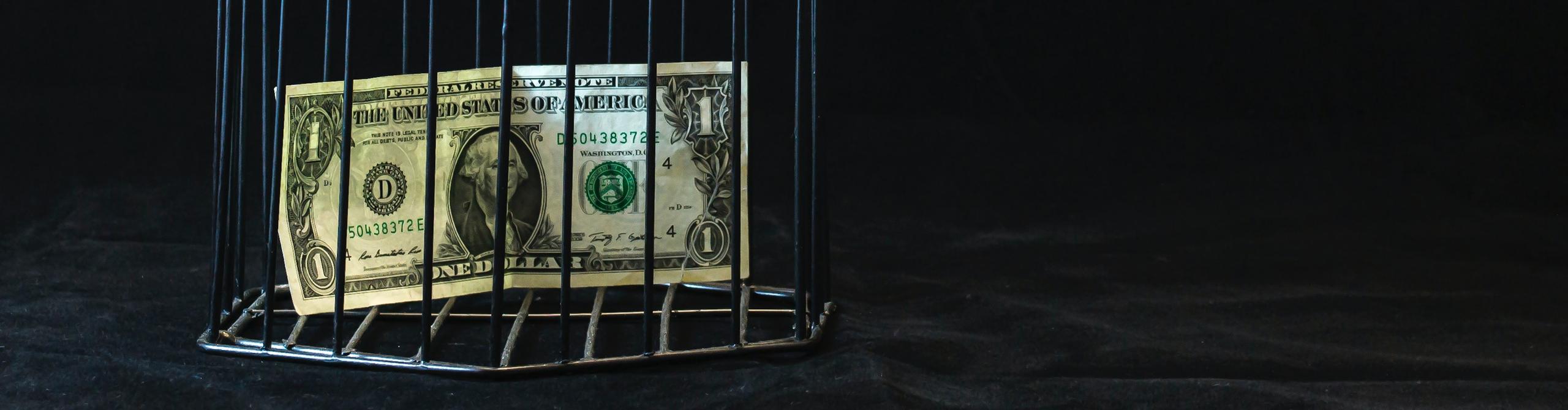 Money in a cage