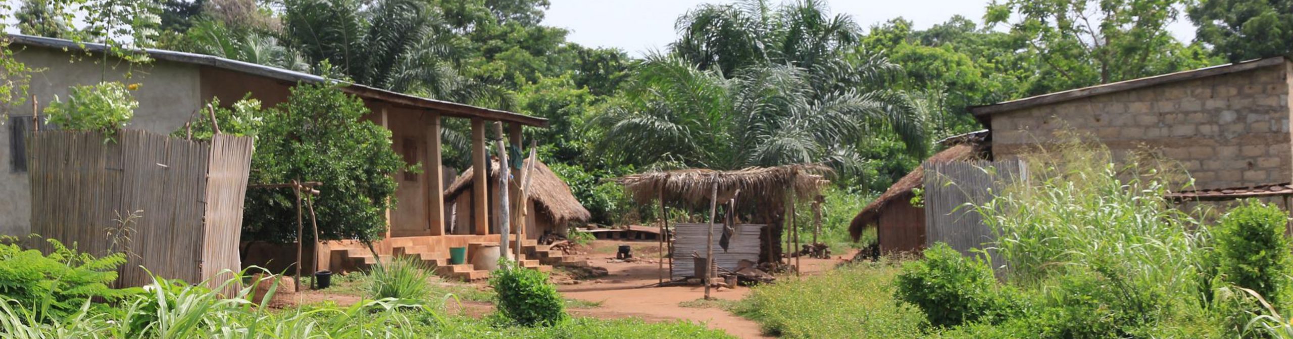 Palm trees and huts in Togo