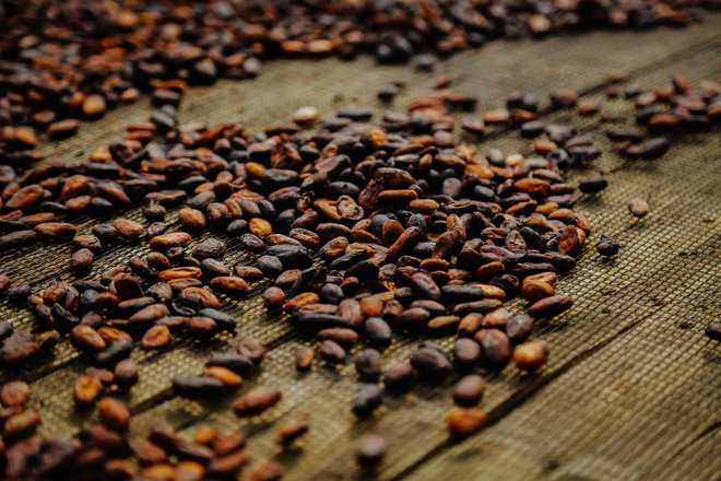 Cocoa beans view from top
